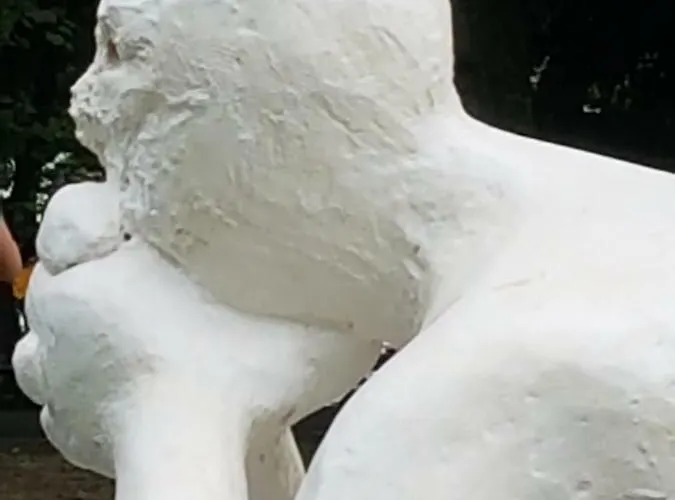 Im Stadtzentrum Munster (North Rhine-Westphalia)